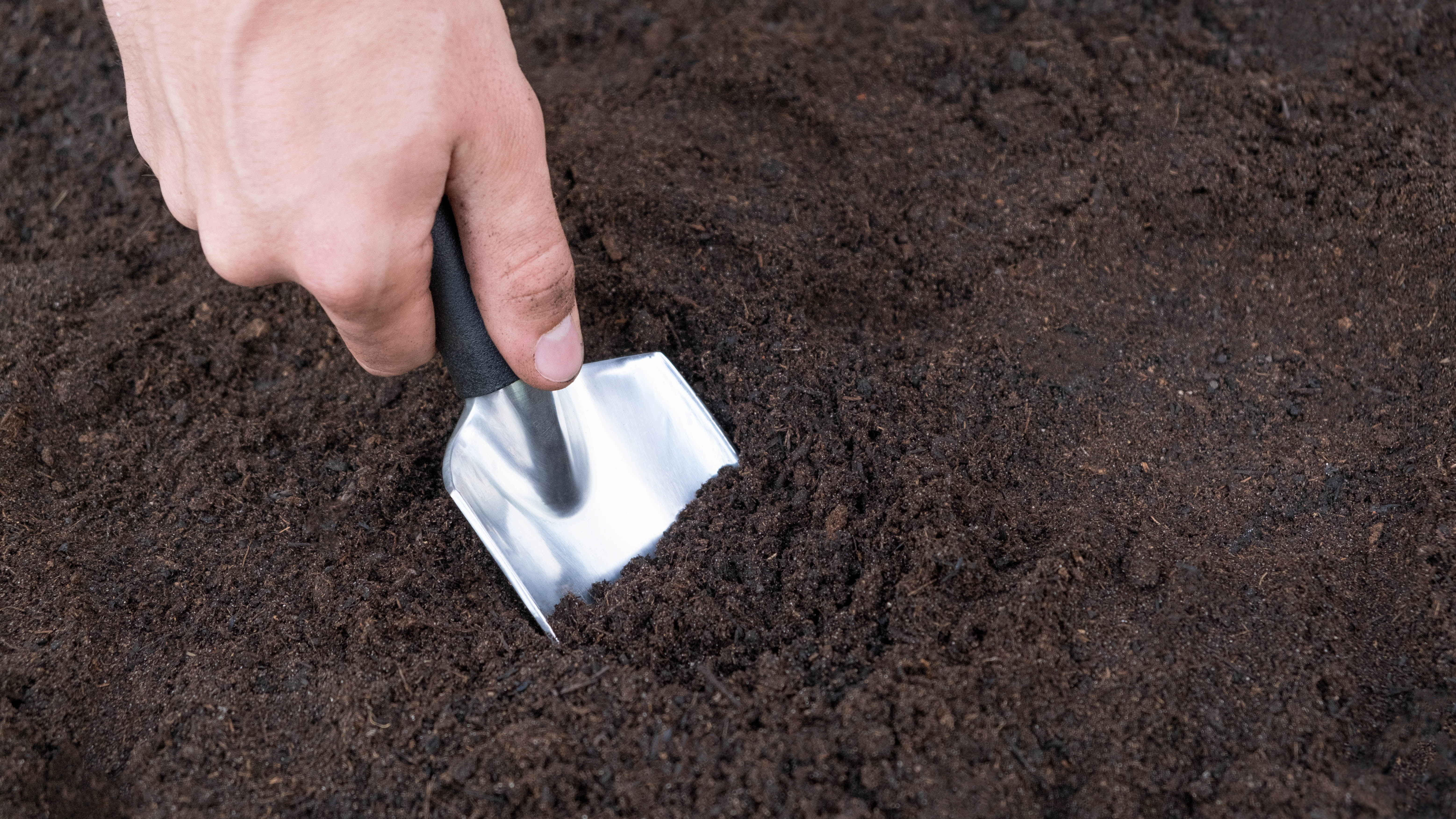 Tohum hazırlamak için toprağı kazmak