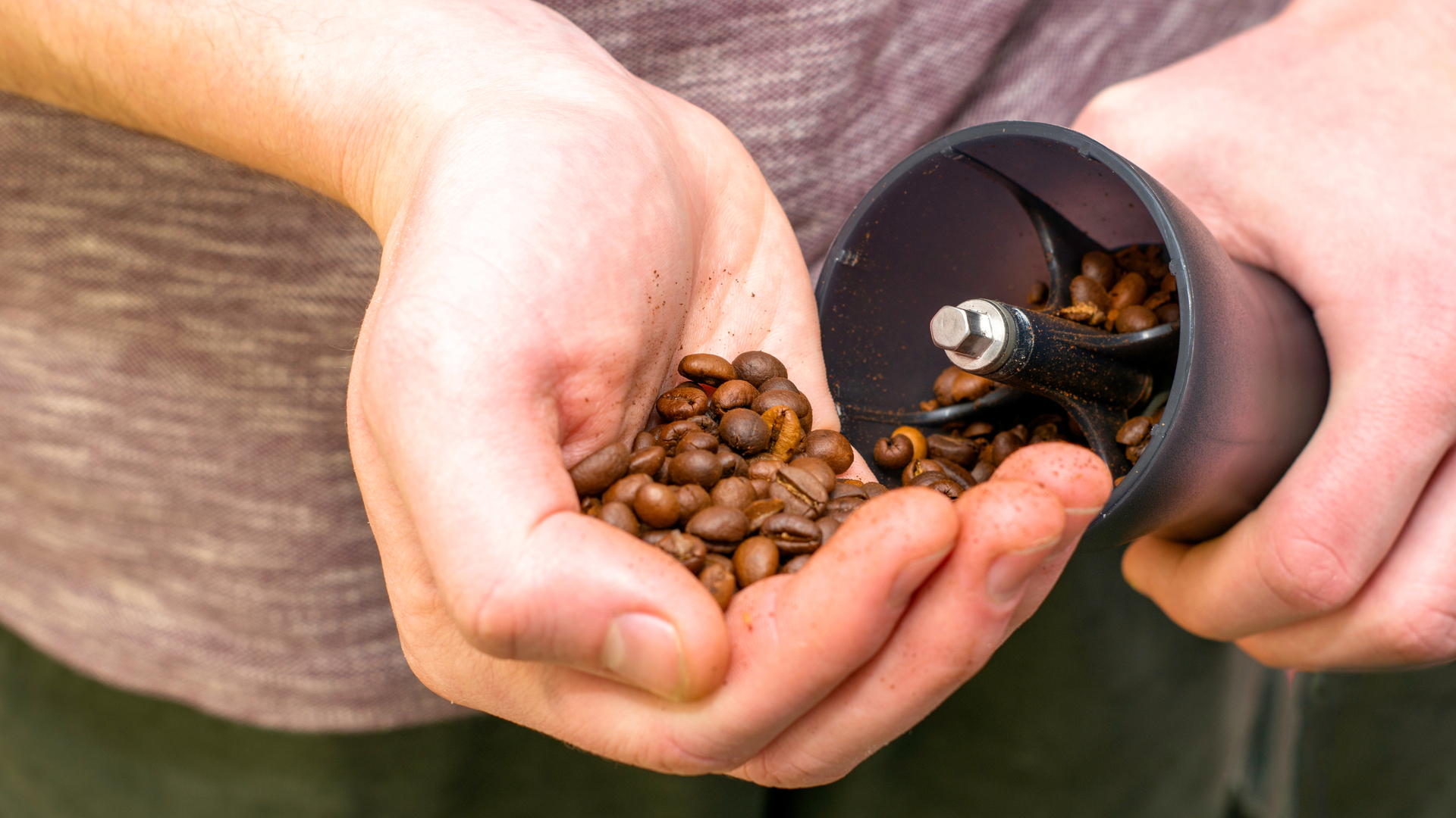 Kahve çekirdekleri, espressonun nasıl yapıldığını gösteren manuel bir kahve değirmenine elle dökülüyor.