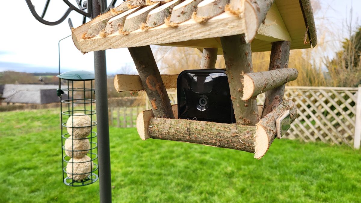 Amazon'un Blink kameralarının sizi doğaya yaklaştırmak için alternatif bir kullanımı var