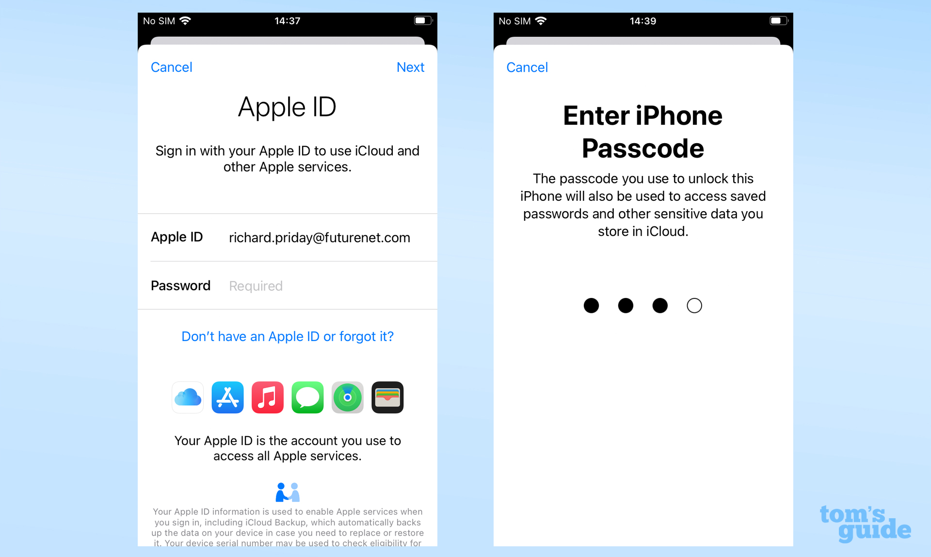 Apple Kimliği oturum açma işlemini gösteren iOS ayarları uygulamasının ekran görüntüsü