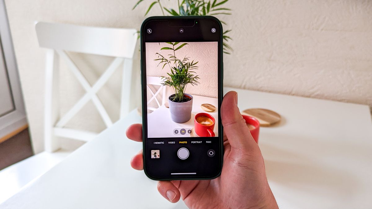 An iPhone 13 Pro Mac being used to take a photo of a plant, representing an article about how to identify plants on iPhone